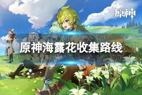 原神海露花速采攻略,告别低效! 原神海露花速采攻略,告别低效!