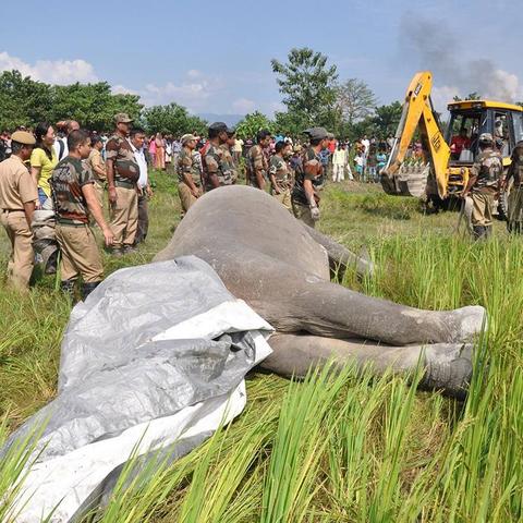 三角洲行动：实战揭秘，攀升进攻方制胜秘诀