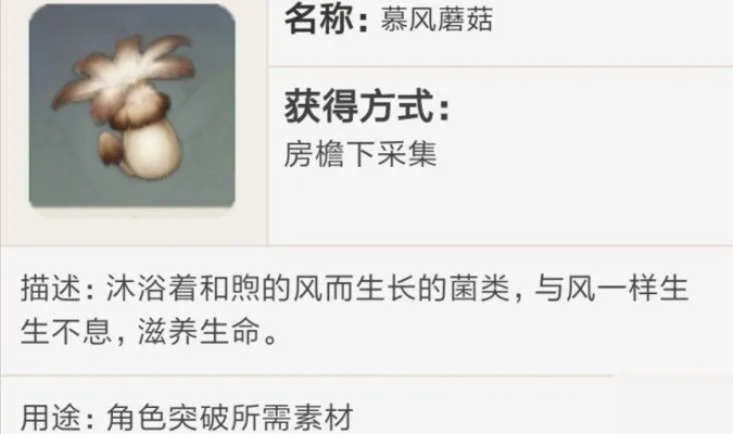 原神慕风蘑菇速采攻略，告别低效！