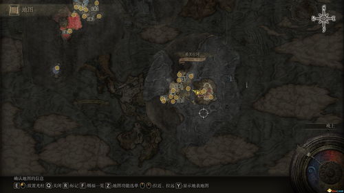 艾尔登法环DLC黄金树BOSS抗性一览攻略 艾尔登法环DLC黄金树BOSS抗性一览攻略