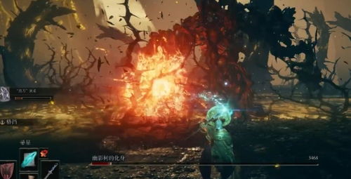 艾尔登法环DLC：黄金树影心脏攻略速成