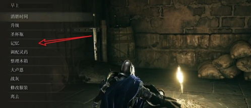 艾尔登法环荆棘法师极限配装攻略,拒绝刺痛! 艾尔登法环荆棘法师极限配装攻略,拒绝刺痛!