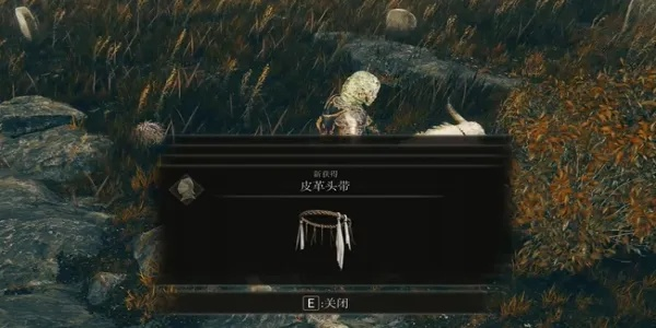 艾尔登法环卡利亚突刺盾获取攻略 艾尔登法环卡利亚突刺盾获取攻略