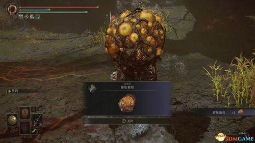 艾尔登法环DLC癫火调香瓶获取攻略 艾尔登法环DLC癫火调香瓶获取攻略