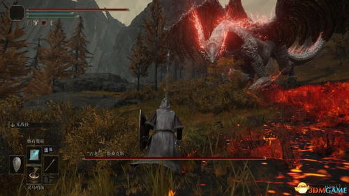 艾尔登法环古龙瑟涅桑克斯逃课攻略 艾尔登法环古龙瑟涅桑克斯逃课攻略