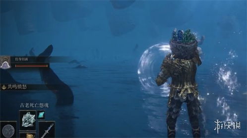 《艾尔登法环》DLC指头之母隐藏BOSS触发路线攻略