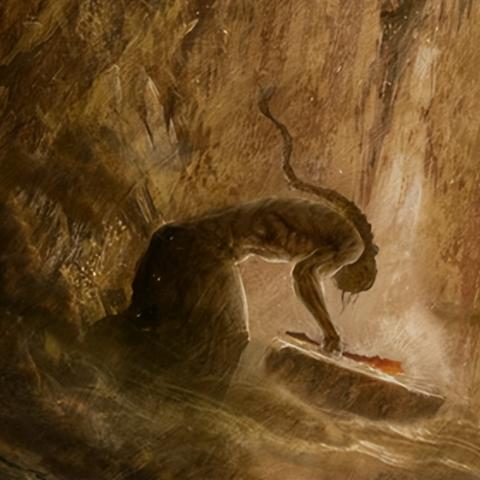 艾尔登法环黄金树幽影DLC全流程攻略速通关 艾尔登法环黄金树幽影DLC全流程攻略速通关