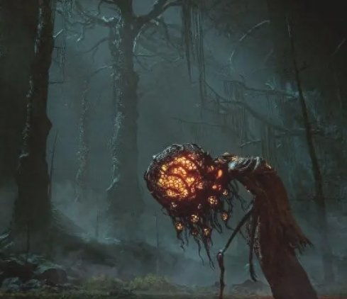 艾尔登法环黄金树幽影全图攻略速查 艾尔登法环黄金树幽影全图攻略速查