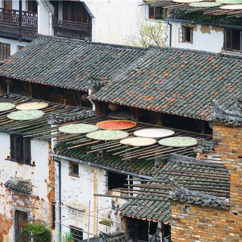 《仙境传说起源》宠物捕捉攻略,轻松养成! 《仙境传说起源》宠物捕捉攻略,轻松养成!