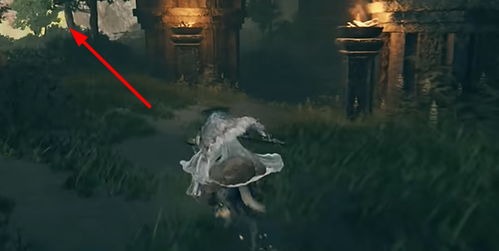 艾尔登法环DLC幽影武器揭秘！战技升级攻略