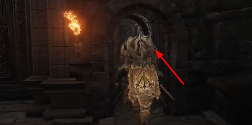 艾尔登法环DLC幽影武器揭秘！战技升级攻略