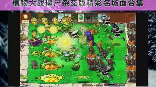 植物大战僵尸杂交版2.1商店副本全攻略,快速通关! 植物大战僵尸杂交版2.1商店副本全攻略,快速通关!