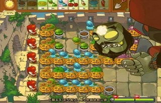 植物大战僵尸2.1版刷金币技巧揭秘 植物大战僵尸2.1版刷金币技巧揭秘