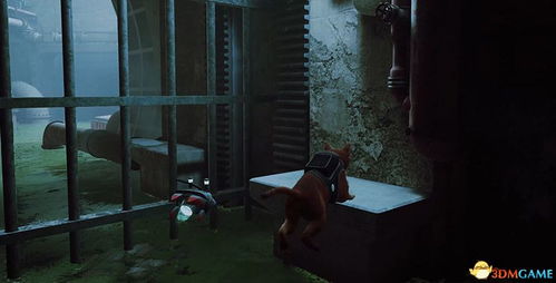 《破碎怪谈攻略》破解恶意关注技巧 《破碎怪谈攻略》破解恶意关注技巧