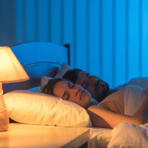 《鸣潮》禽肉鱼肉采集点揭秘,快速攻略! 《鸣潮》禽肉鱼肉采集点揭秘,快速攻略!