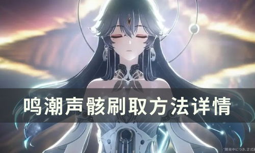 《鸣潮》声骸Cost解析：如何高效获取？