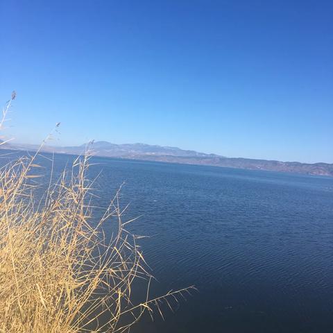 《鸣潮》湮灭漂泊者图攻略,快速通关技巧揭秘 《鸣潮》湮灭漂泊者图攻略,快速通关技巧揭秘