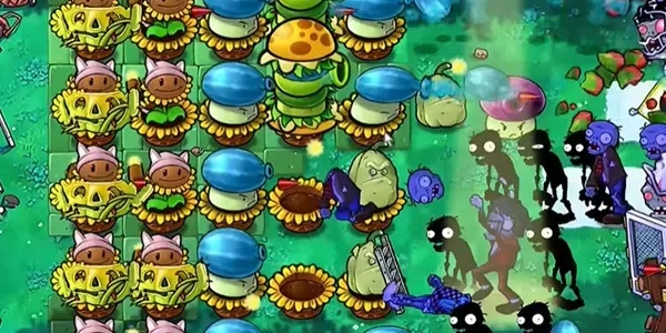 植物大战僵尸杂交版汉堡王挑战三攻略，轻松通关！