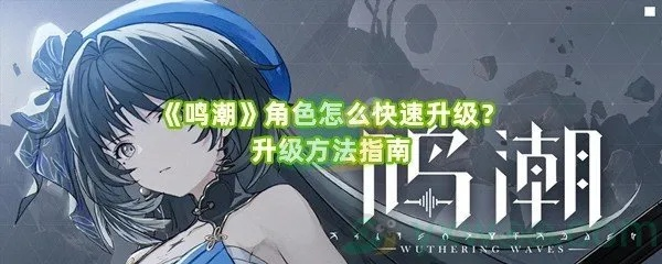 《鸣潮》数据坞快速升级法，等级飙升秘诀