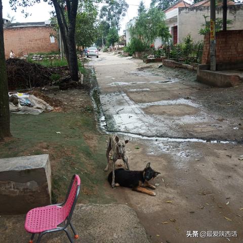 《鸣潮》解谜法：揭秘天雨预兆