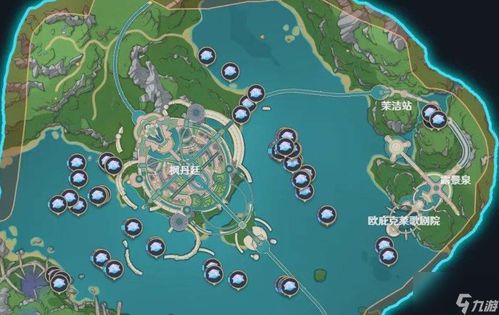 花卉材料收集路线分享：如何高效？