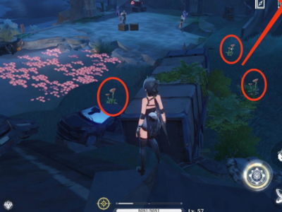 《鸣潮》妙弋花采集攻略，快速获取秘境之花