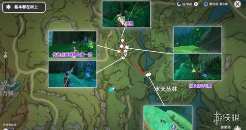 原神4.6流浪者突破材料树王圣体菇采集攻略 原神4.6流浪者突破材料树王圣体菇采集攻略