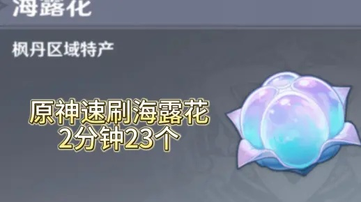 原神海露花采集攻略速查 原神海露花采集攻略速查