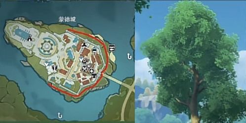 原神松木速刷攻略 松木获取方法 原神松木速刷攻略 松木获取方法