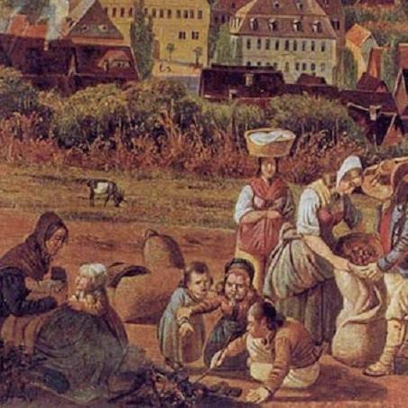 庄园领主摊位市场：如何高效供给？