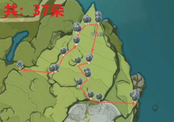 剑星绿茶获取位置揭秘!快速找到庇佑之地绿茶 剑星绿茶获取位置揭秘!快速找到庇佑之地绿茶