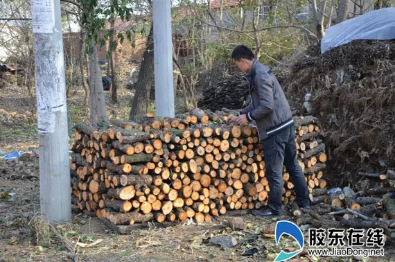 庄园柴火短缺？3招解决供应难题
