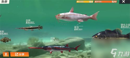 剑星钓鱼点汇总+稀有鱼速查