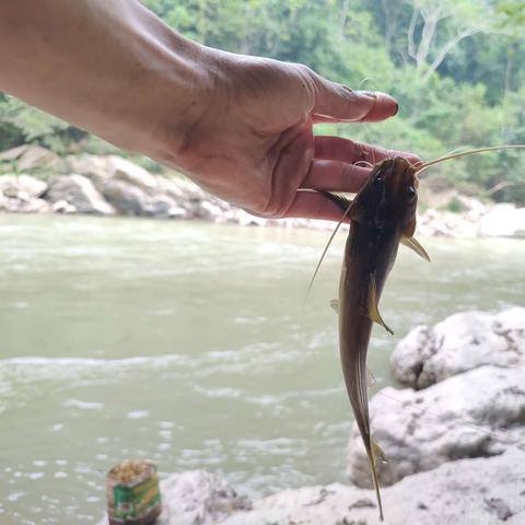 百英雄传竹竿钓鱼攻略速成 百英雄传竹竿钓鱼攻略速成