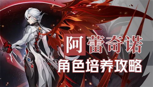 原神阿蕾奇诺仆人装备搭配攻略