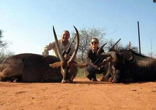 《怪猎荒野》纳塔争议大揭秘!偏见该放下! 《怪猎荒野》纳塔争议大揭秘!偏见该放下!