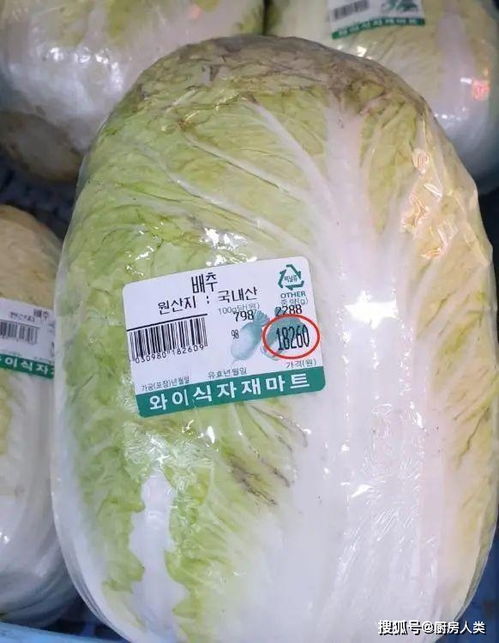 娱美德“泡菜币”被盗!90亿韩元损失,搬砖党要哭? 娱美德“泡菜币”被盗!90亿韩元损失,搬砖党要哭?