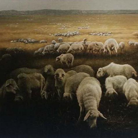 《幻塔》4.8新版本上线!星际来客惊喜来袭!🚀🌌速来体验! 《幻塔》4.8新版本上线!星际来客惊喜来袭!🚀🌌速来体验!