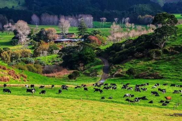 《Dinkum》全景澳洲,田园牧歌新解密!32景震撼来袭! 《Dinkum》全景澳洲,田园牧歌新解密!32景震撼来袭!