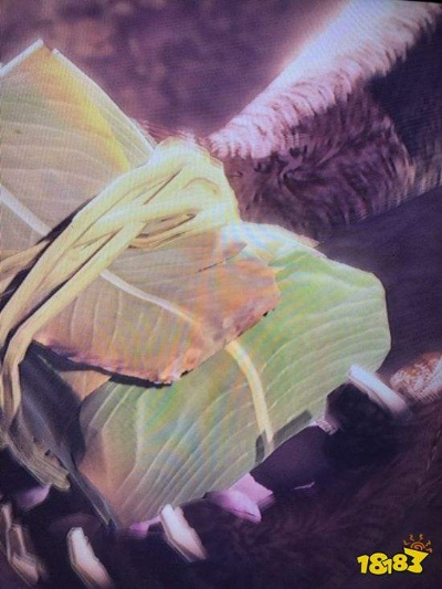 《怪物猎人》大回复蜜虫抓捕攻略!🐝速来! 《怪物猎人》大回复蜜虫抓捕攻略!🐝速来!