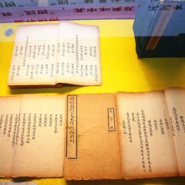 《怪物猎人荒野》采集套装搭配攻略！🔍32招必看！