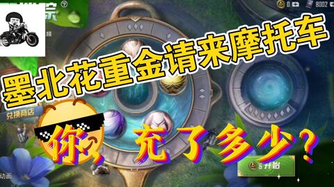 《双影奇境》春之希冀攻略：揭秘坍缩之星！