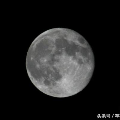 《怪物猎人荒野》满月刷珠子攻略!快速获取珠子技巧揭秘 《怪物猎人荒野》满月刷珠子攻略!快速获取珠子技巧揭秘