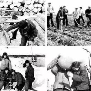 《模拟农场25》高画质配置揭秘！只需3步！