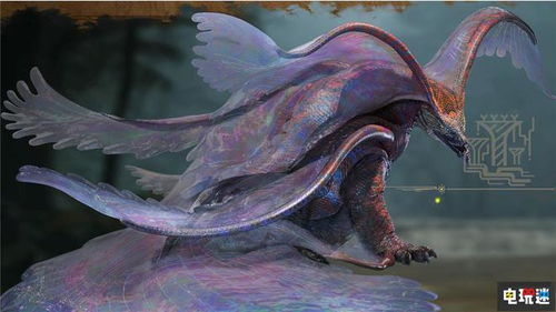 《荒野》足迹蜥蜴&大王旗鱼位置速查! 《荒野》足迹蜥蜴&大王旗鱼位置速查!