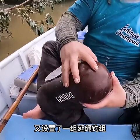 《荒野》全鱼类钓点攻略!速来解锁32种鱼! 《荒野》全鱼类钓点攻略!速来解锁32种鱼!