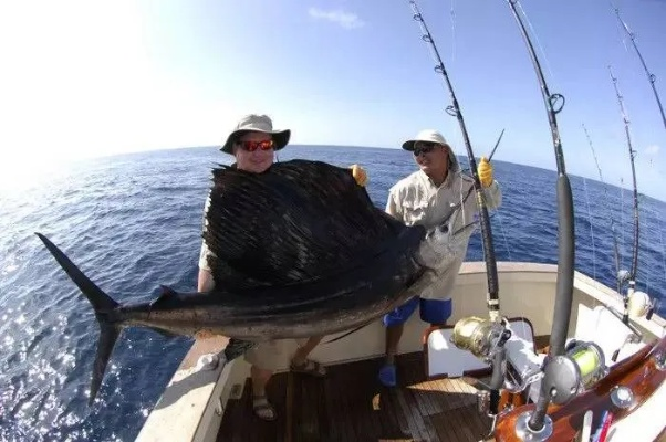大王旗鱼钓法+荒野+快速攻略 大王旗鱼钓法+荒野+快速攻略