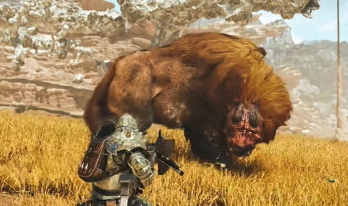 《怪物猎人荒野》轻弩炮护辟兽样式路线揭秘