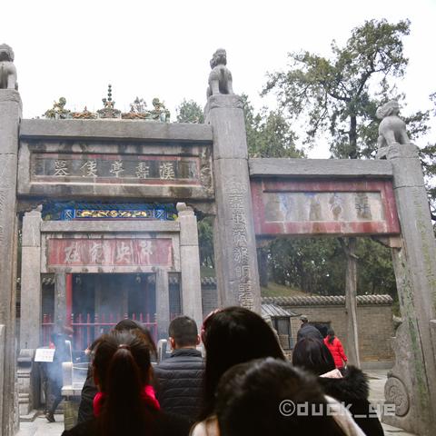 《怪物猎人荒野》全骨冢位置地图+采集路线攻略