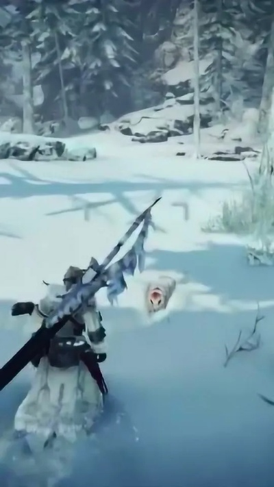 《怪物猎人荒野》雪球虫抓捕攻略 《怪物猎人荒野》雪球虫抓捕攻略